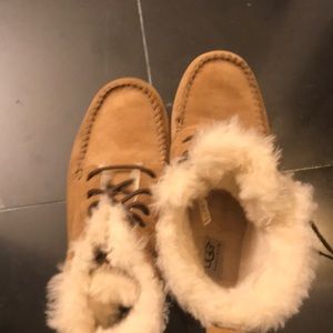 Ugg booties